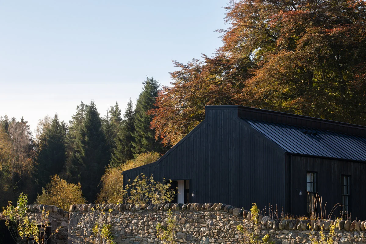 A House in the Woods | Thermopine® Cladding factory coated with RAL9005 | The Building Workshop | Dapple Photography