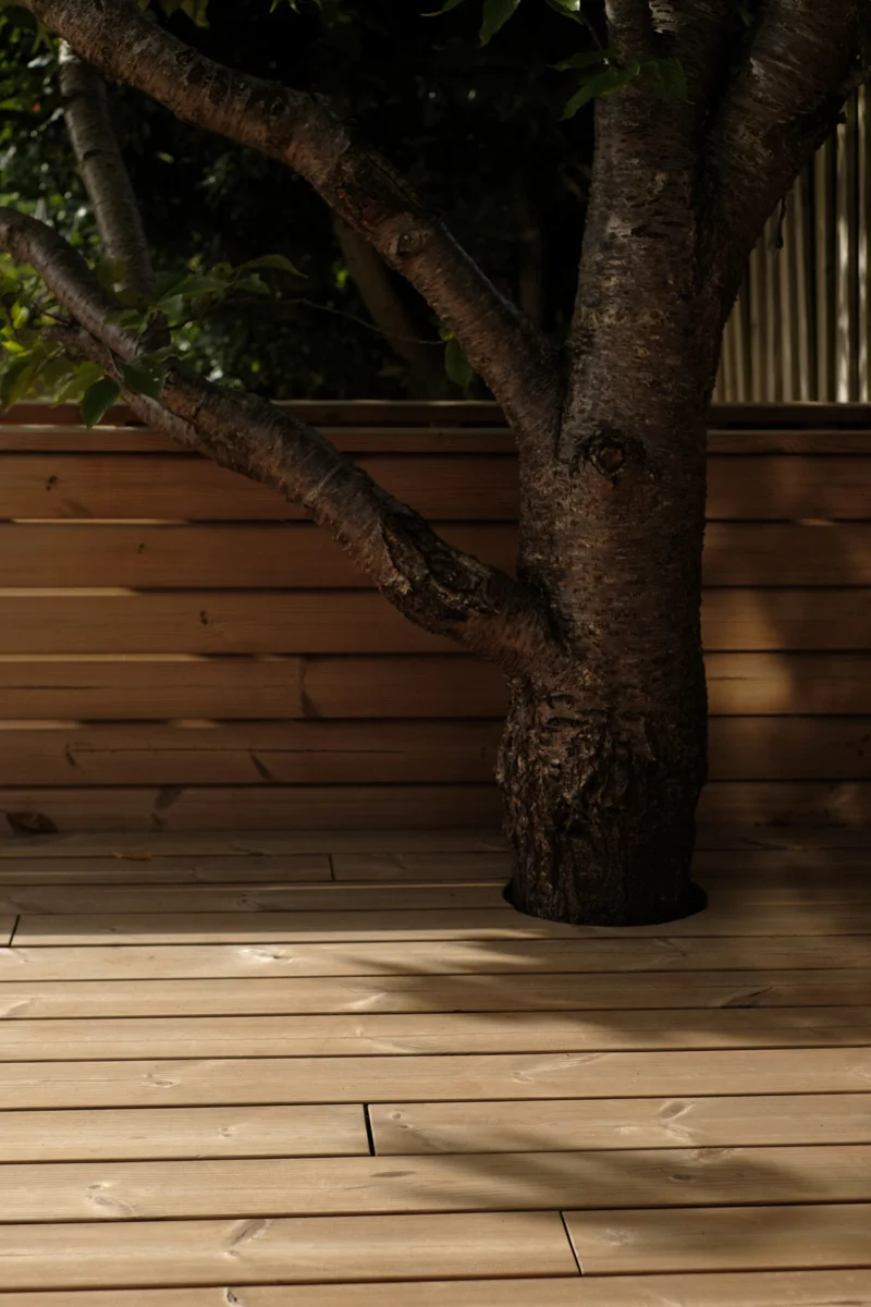 Thermopine®