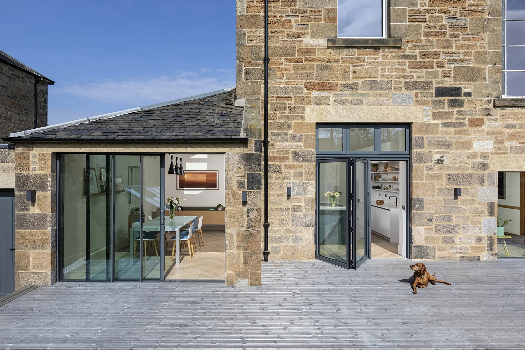 Dog lying on wooden decking outside home in Edinburgh