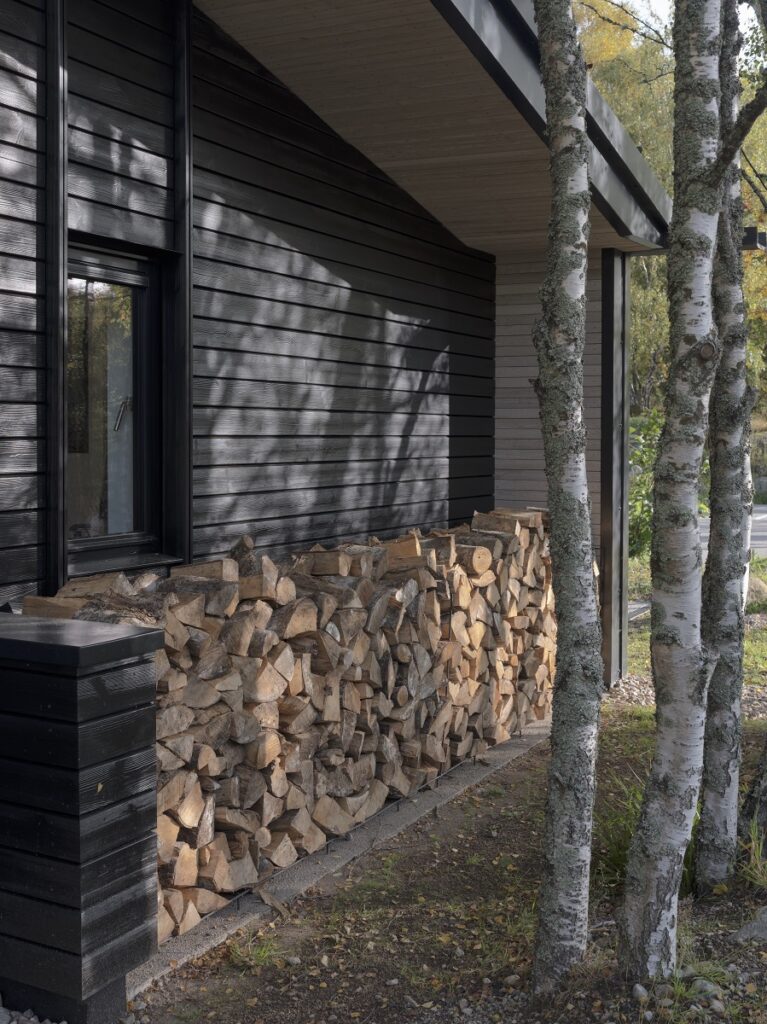 Brushed Thermopine® Cladding Factory Coated with RAL 9005 + soffits coated with SiOO:X Light Grey | Moxon Architects | Timothy Soar Photography