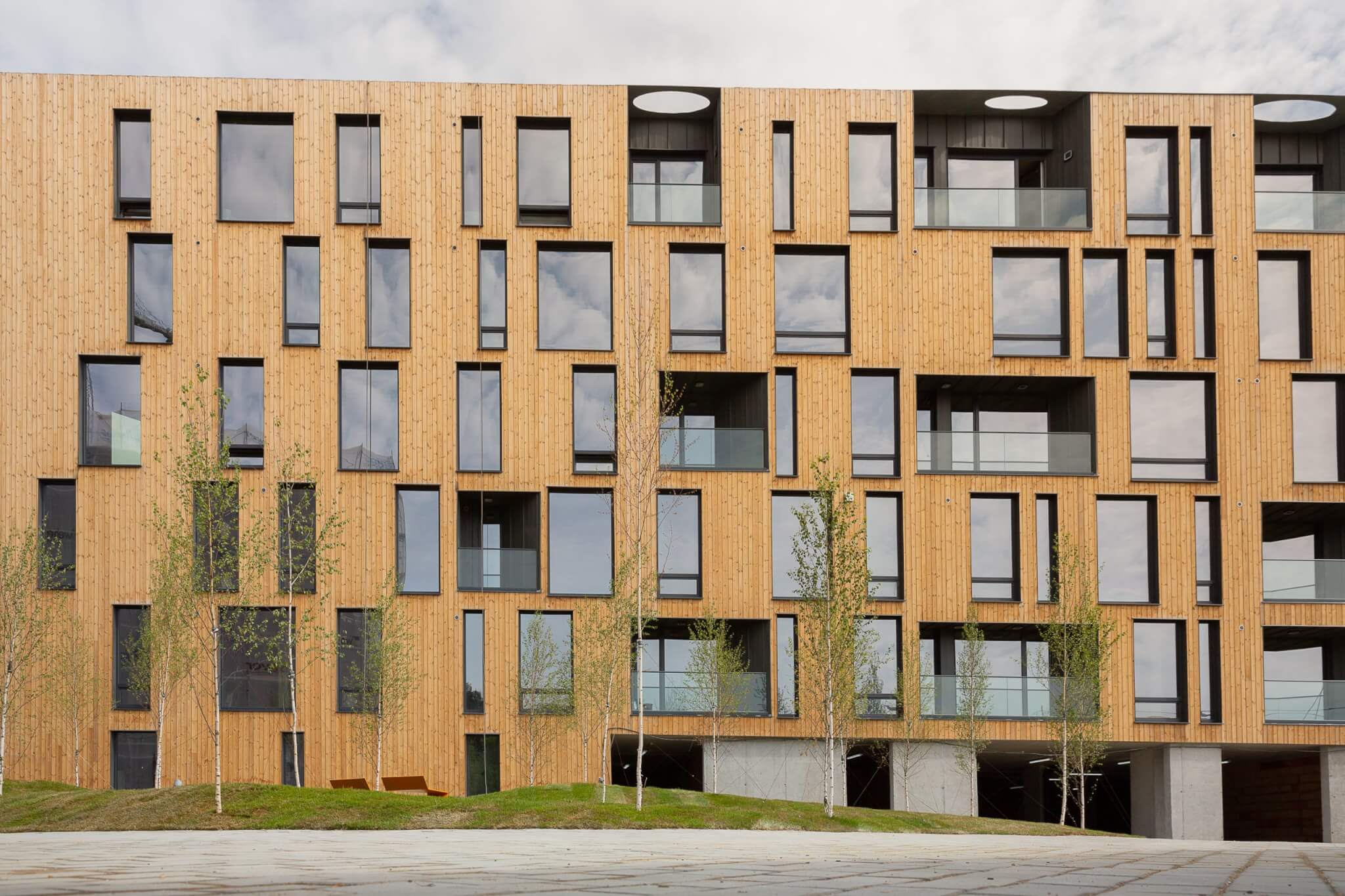 Lunawood Collection in Luna Panel System on Loft Green Apartments