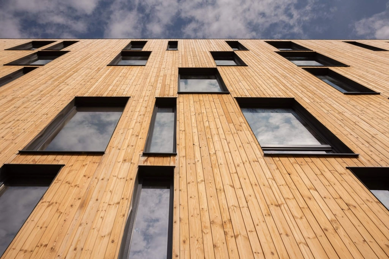 Lunawood Collection in Luna Panel System on Loft Green Apartments