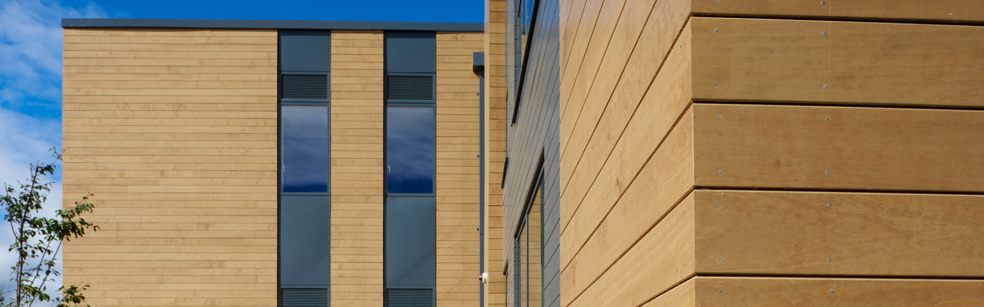 Introducing Accoya® RW119 Performance Profile performance, but without