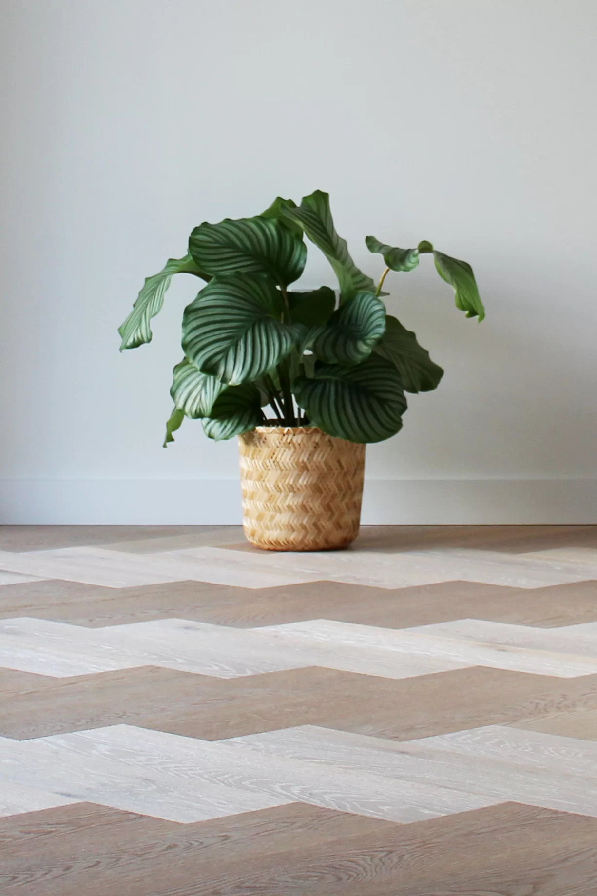 Russwood European Oak flooring in Pearl, laid in a herringbone arrangement.