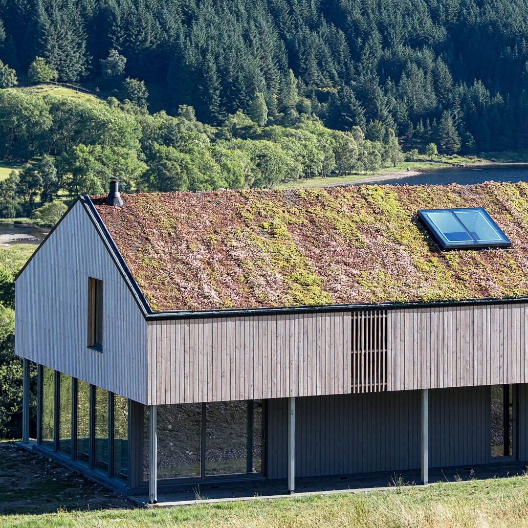 a timber clad building situated in a forest environment with a moss panel roof