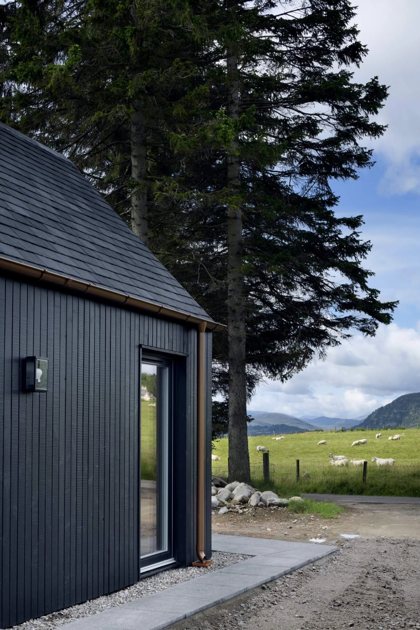 Thermopine® Cladding coated black | Loader Monteith Architects