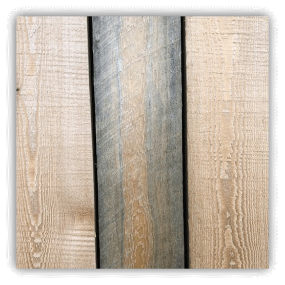 Sapwood has affected this board causing blue stain mould.