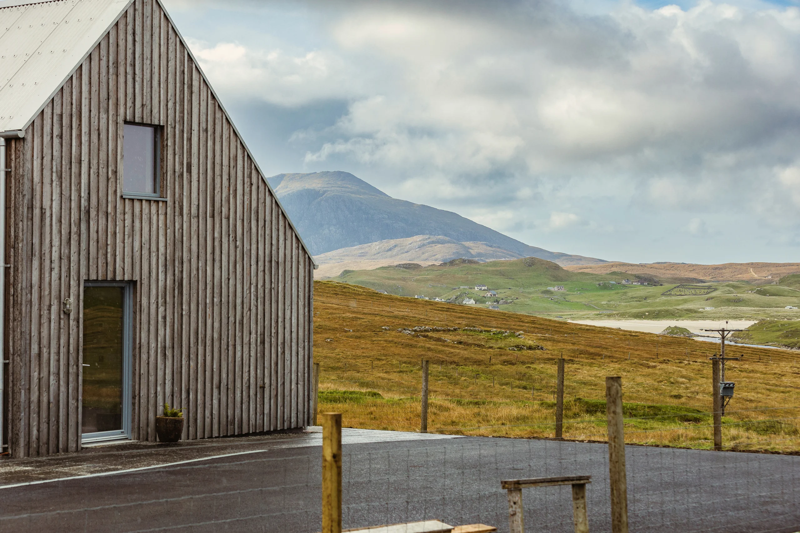 Sapwood: understanding its impact on timber durability and quality